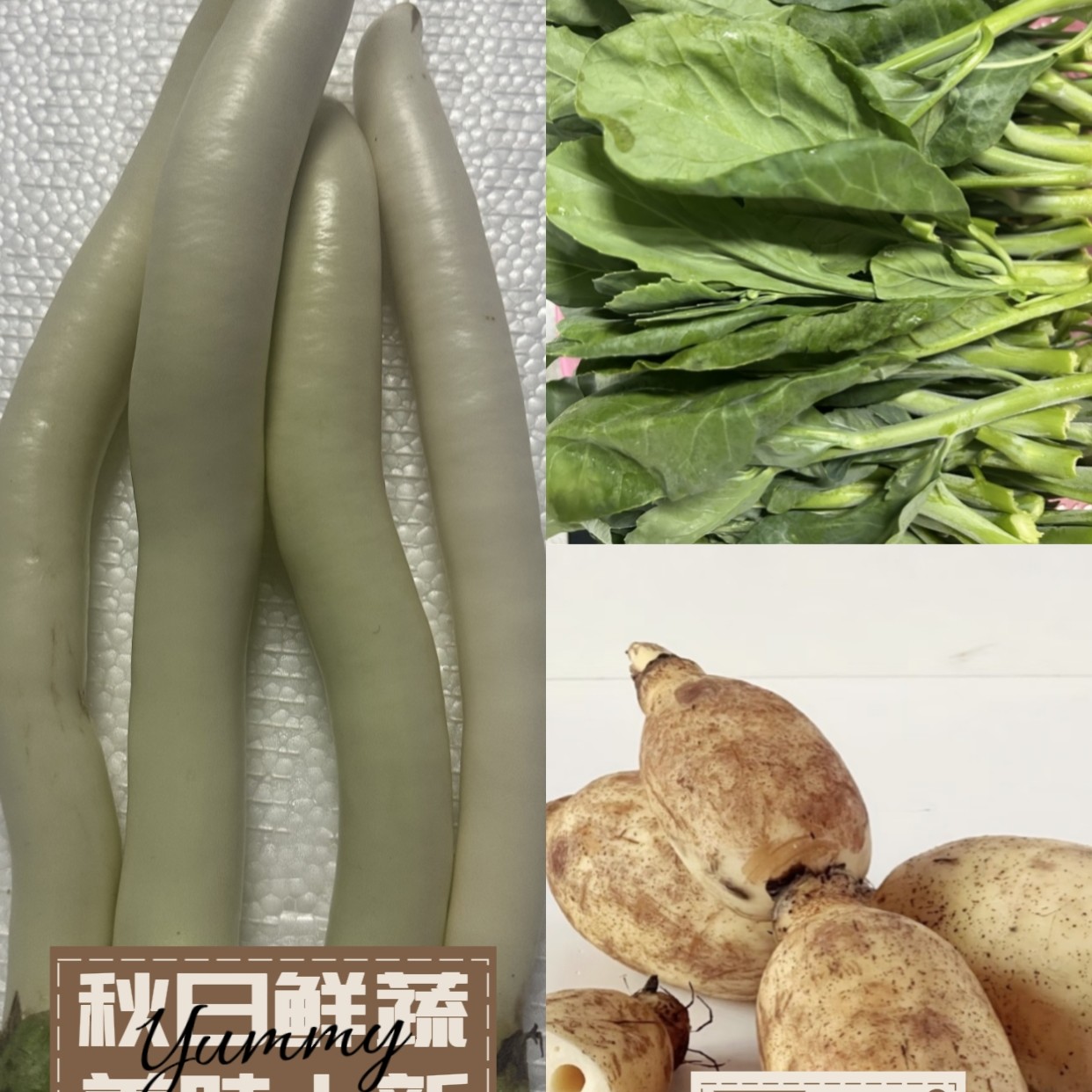 【顺丰包邮】潮汕本地农家菜芥兰茄子菱角搭配