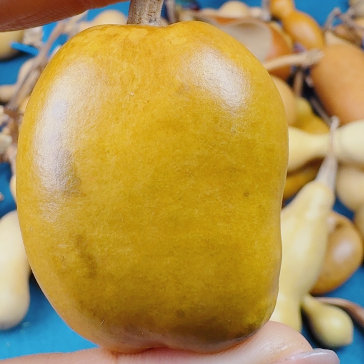?****3时候其实哈哈哈哈哈