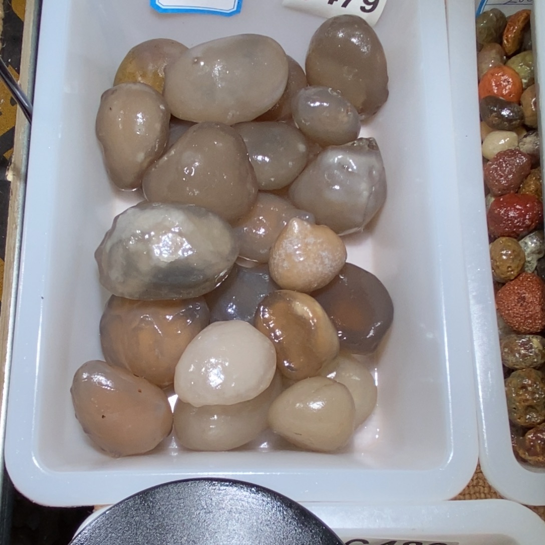 白***告阿拉善银根糖鱼缸石