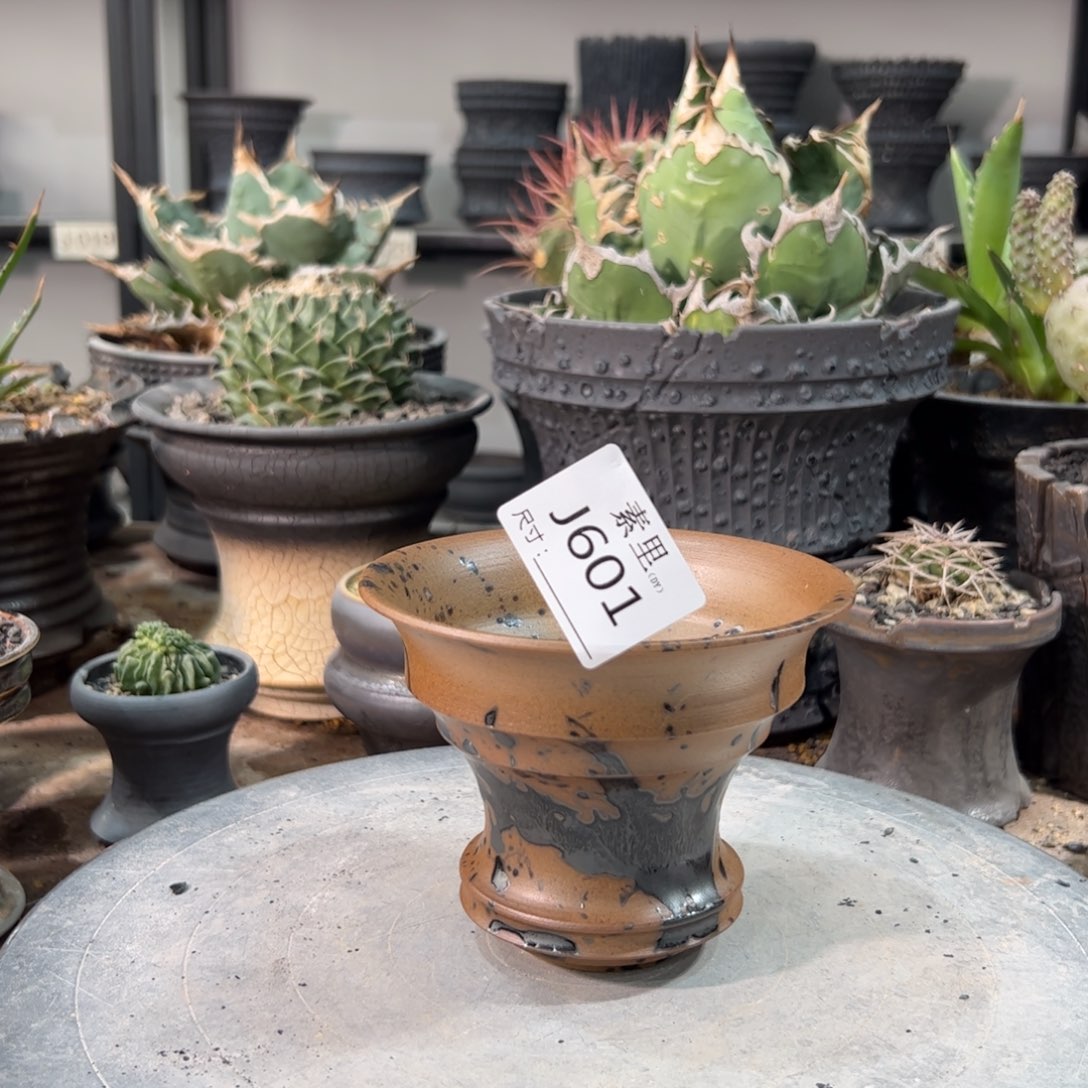 景德镇手工素里内口12高9.5