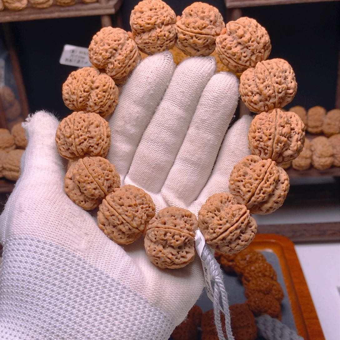 金刚菩提手串金刚菩提霸王龙