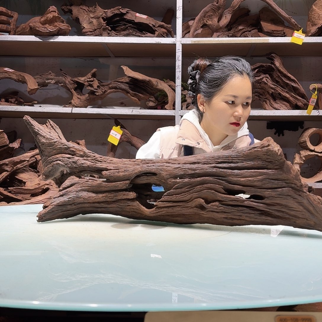 倍褚沉木不包损必褪色陶*✨5736