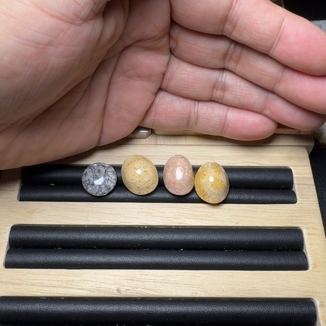 捡****硅化玉未镶嵌纯天然色有机玉石保真色