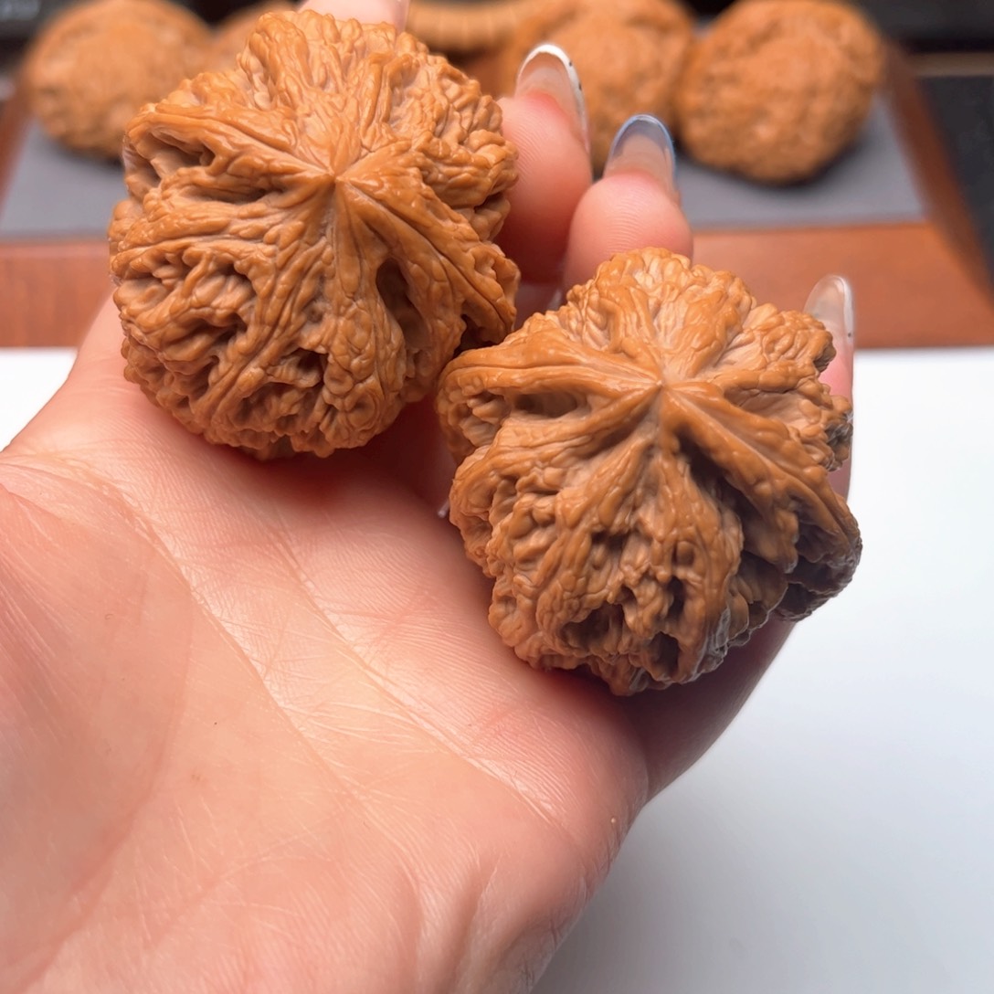 文玩核桃把件粗筋45丽