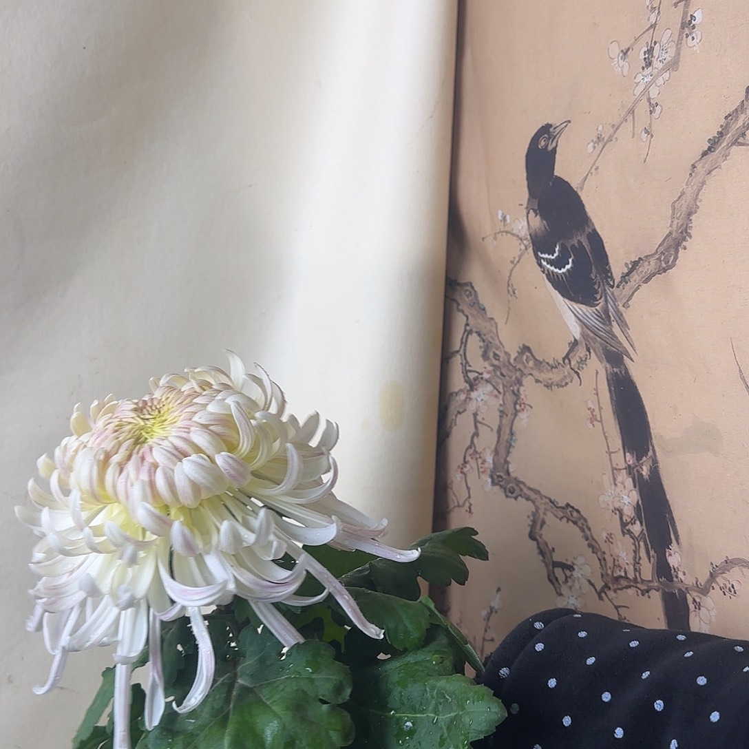 小***亲全部花朵B777777777