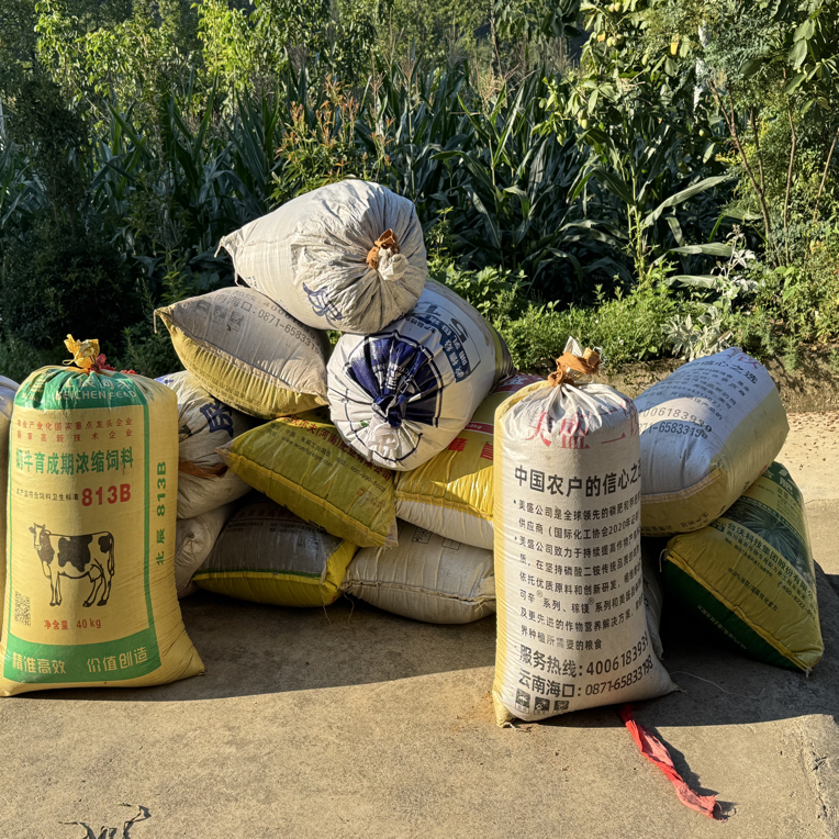 诺水河自己榨的菜籽油