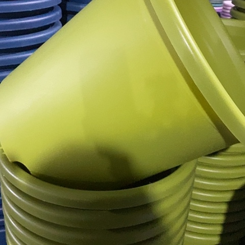 树脂四季8号果绿无托3个