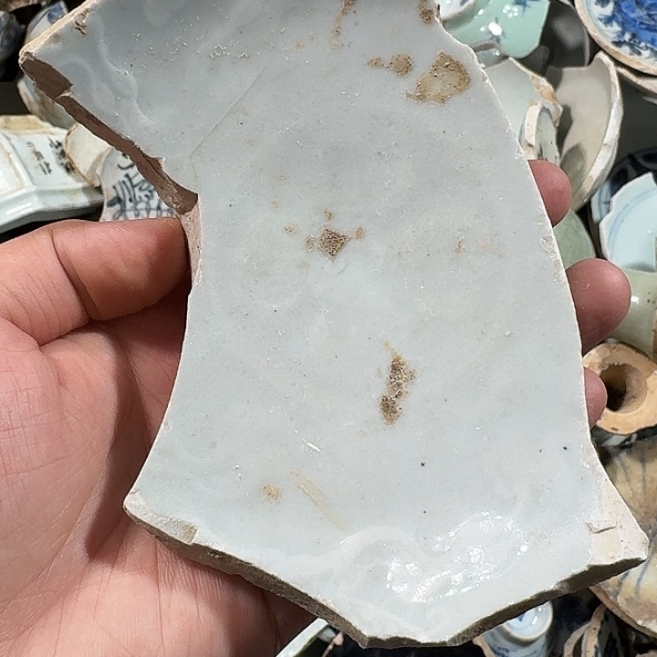 瓷片瓷片标本，顺丰包邮