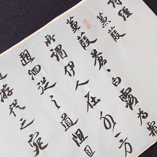 书法张建东老师书法作品