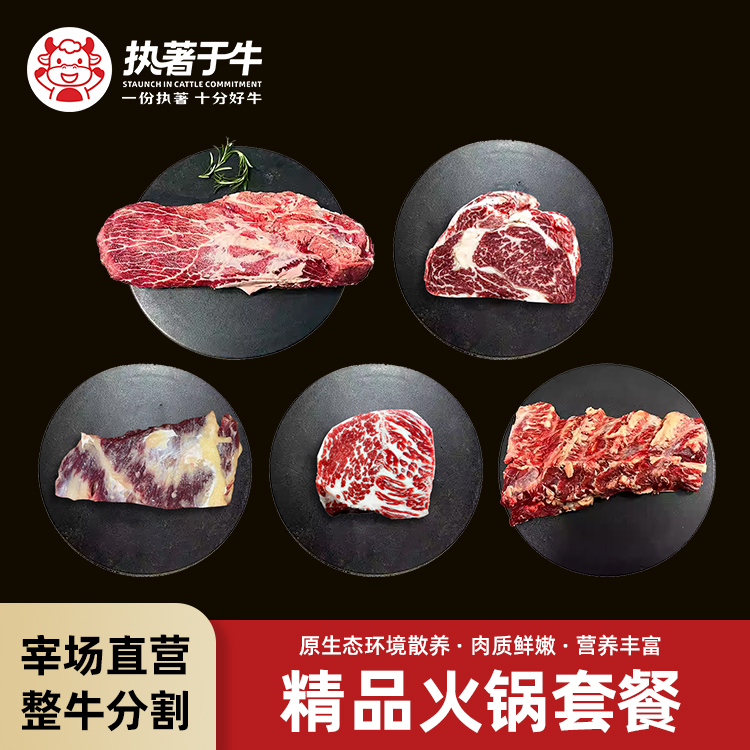 鲜牛肉火锅套餐2斤黄牛肉新鲜食材好味道雪花肥牛吊龙上脑匙柄