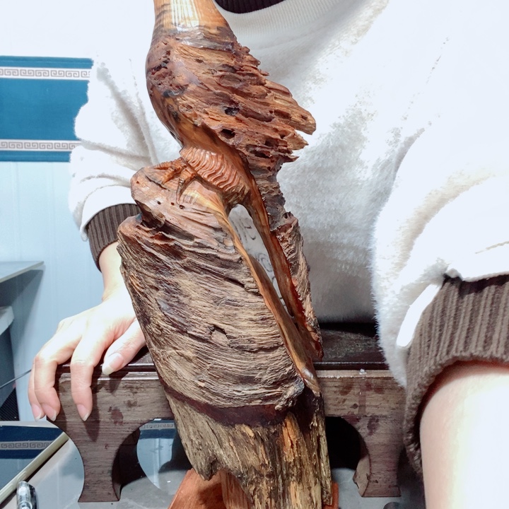 爱***赢木百年树的设计风格