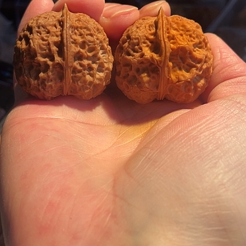 文玩核桃把件玲珑带彩38