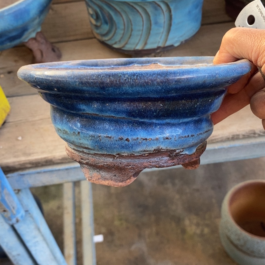 145号多肉盆口径13