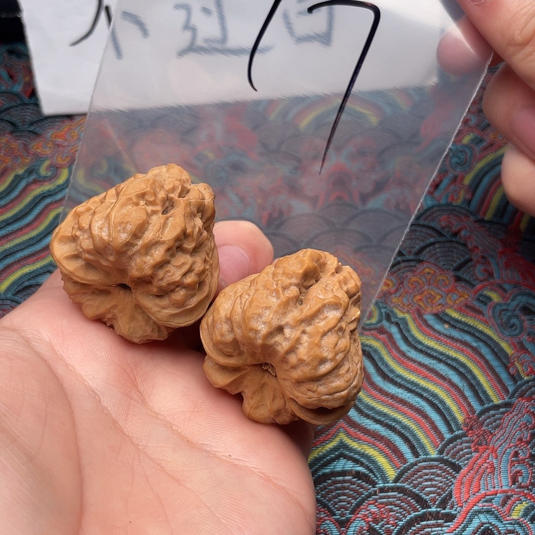 核桃哈哈哈哈哈哈哈哈