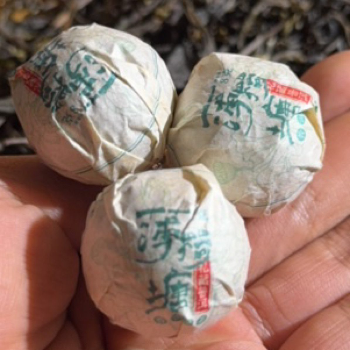 21年薄荷糖生茶龙珠