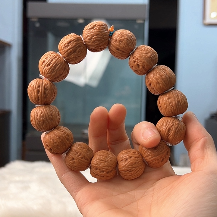 柏木谷****》我们都是好孩子呀我也是想要