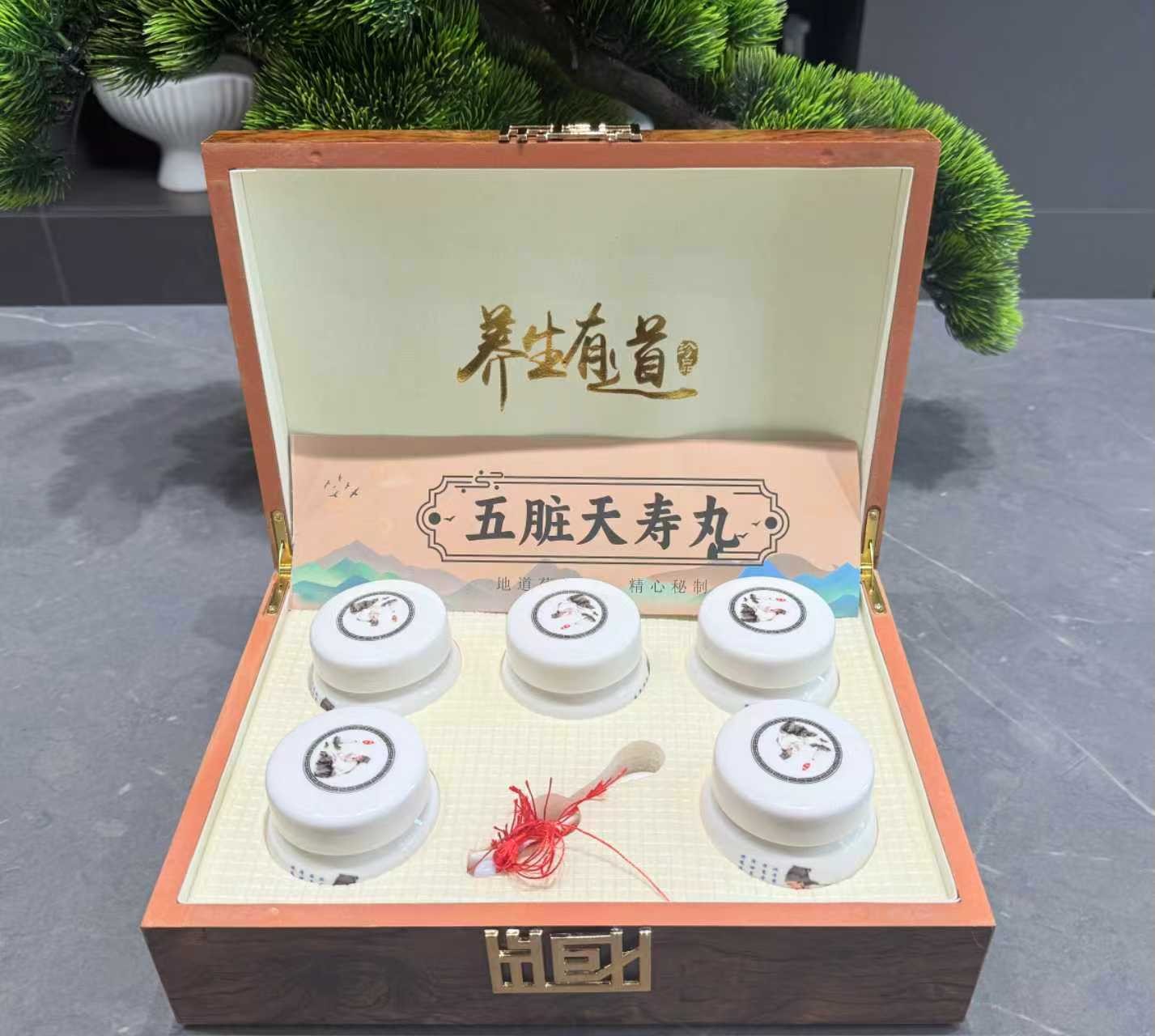 五脏天寿丸     
