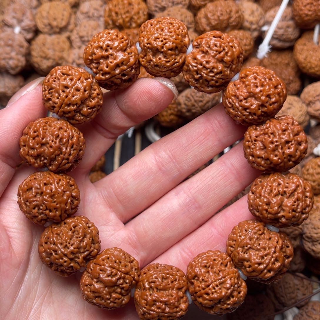 菩提22号尼泊尔大金刚古龙梅花21/+