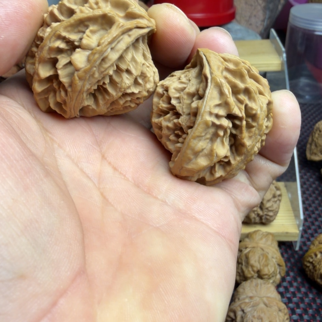 老***描把件桃核大肚蛇头40尺一对