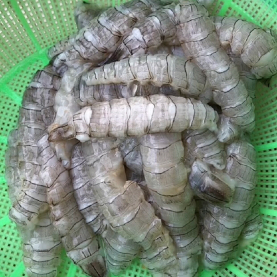 皮皮虾肉 野生海捕手工现剥