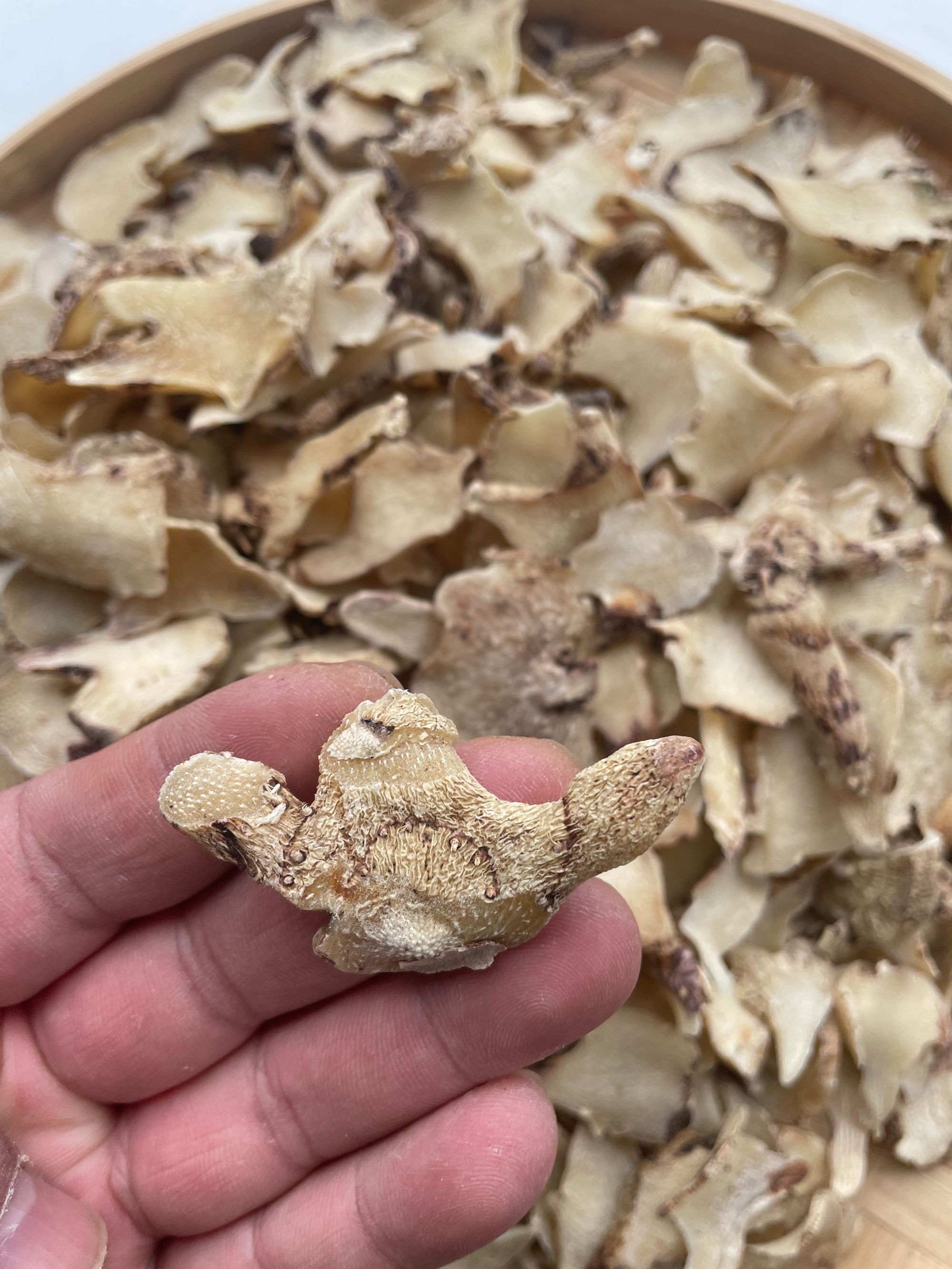 下山货 紫花三叉白芨