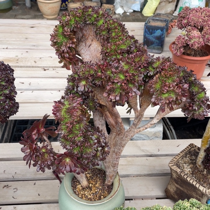 法师老桩缀化铜壶