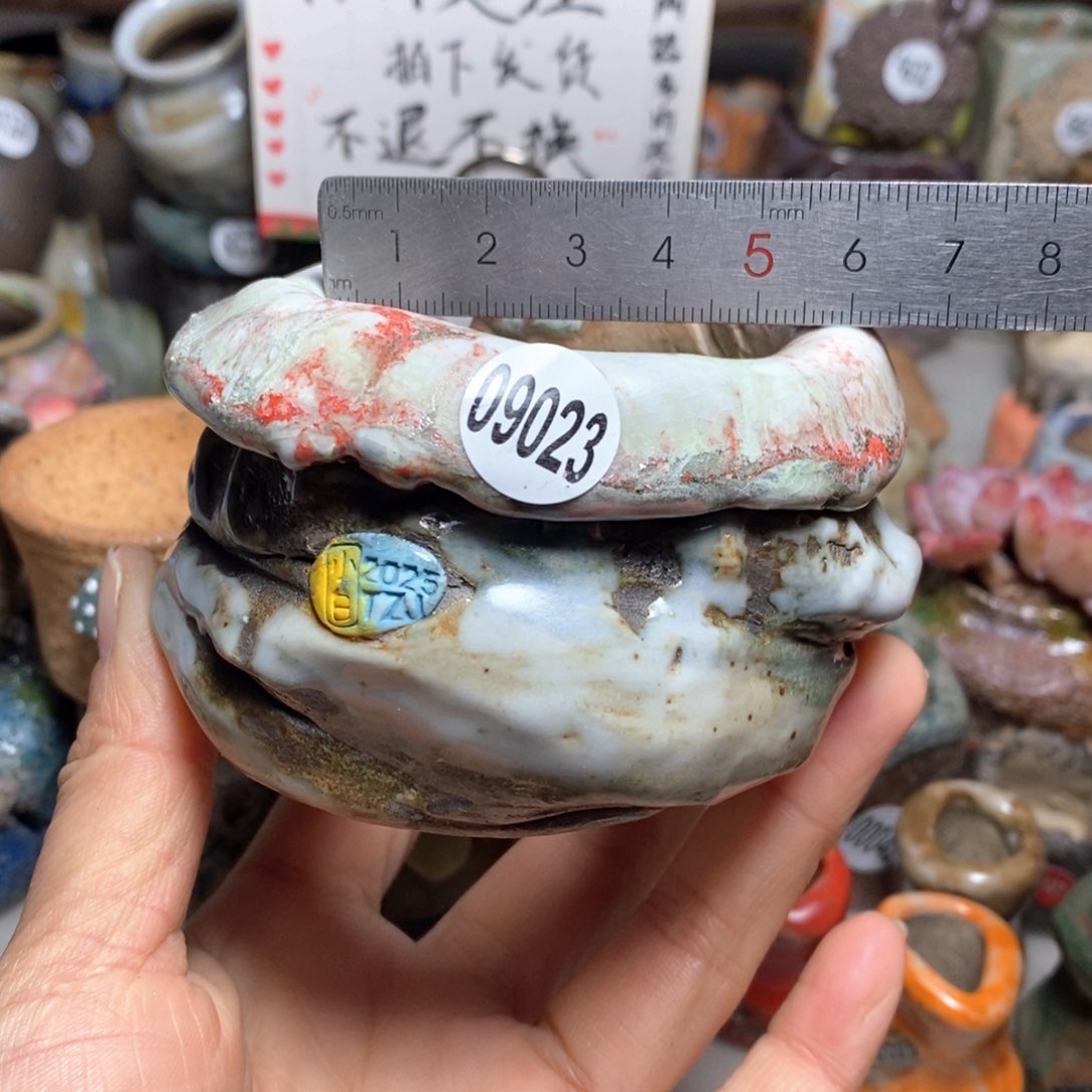 花盆拍1送一个小礼物