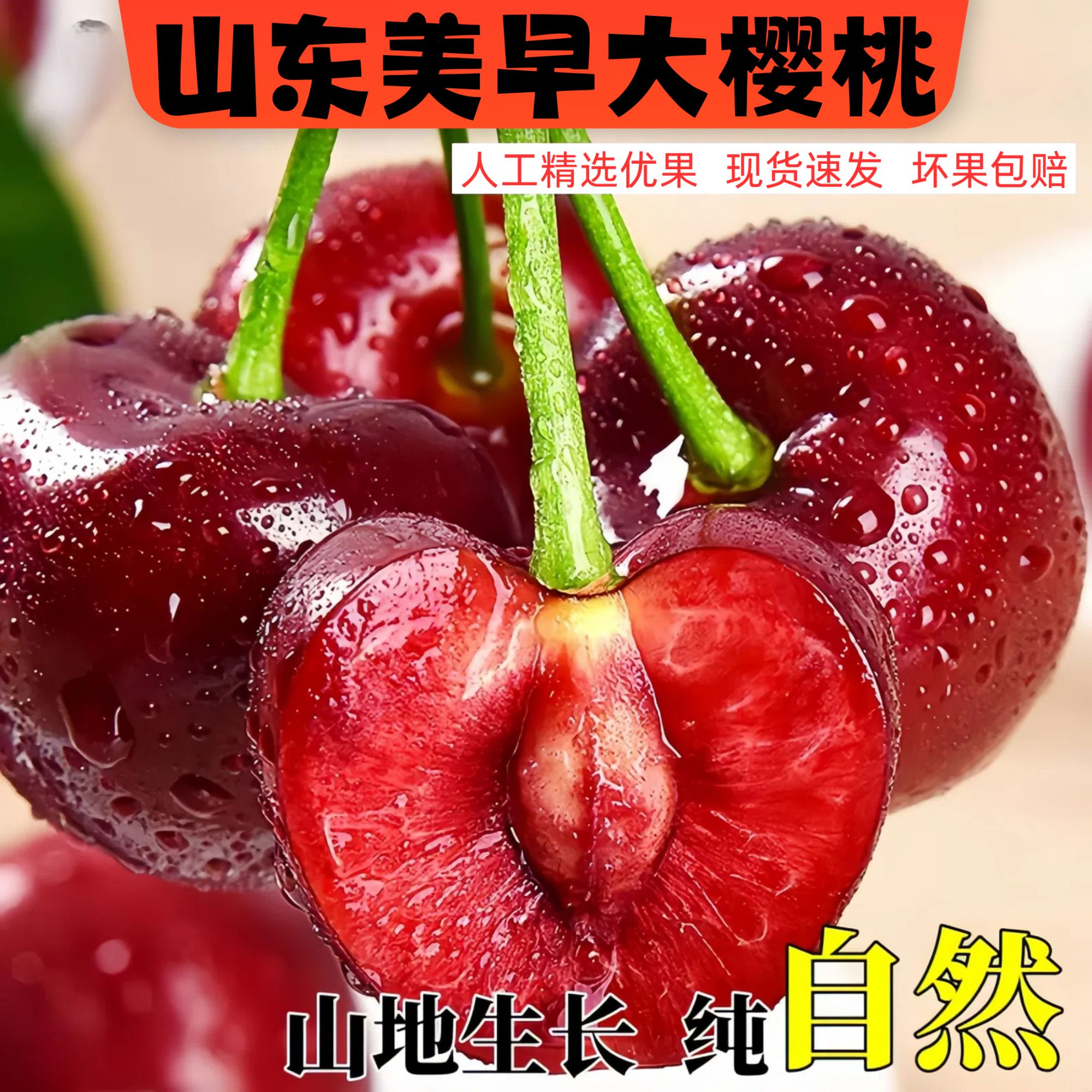 山东美早樱桃JJ-3J净重3.6斤空运现摘