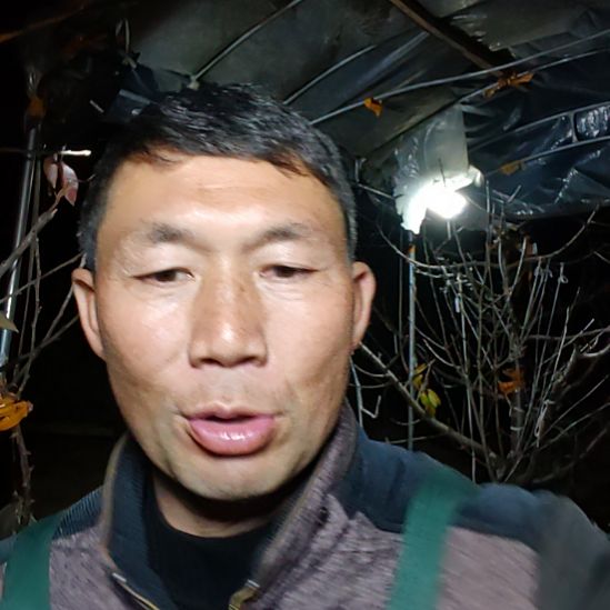 陈***金完全开放一物一拍