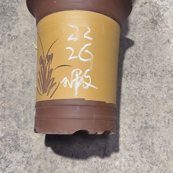 紫砂花盆厂家批发价格