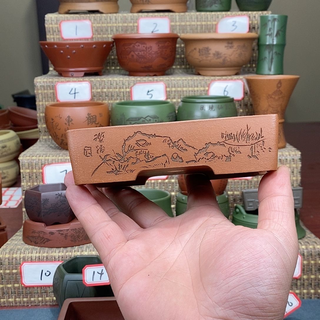 紫砂花盆我在看书