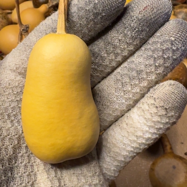 B***w葫芦888888888888888