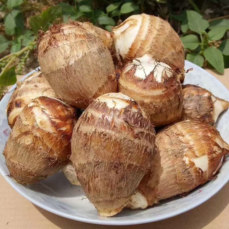 新鲜现挖粉糯牛奶小芋头正宗农家时令蔬菜