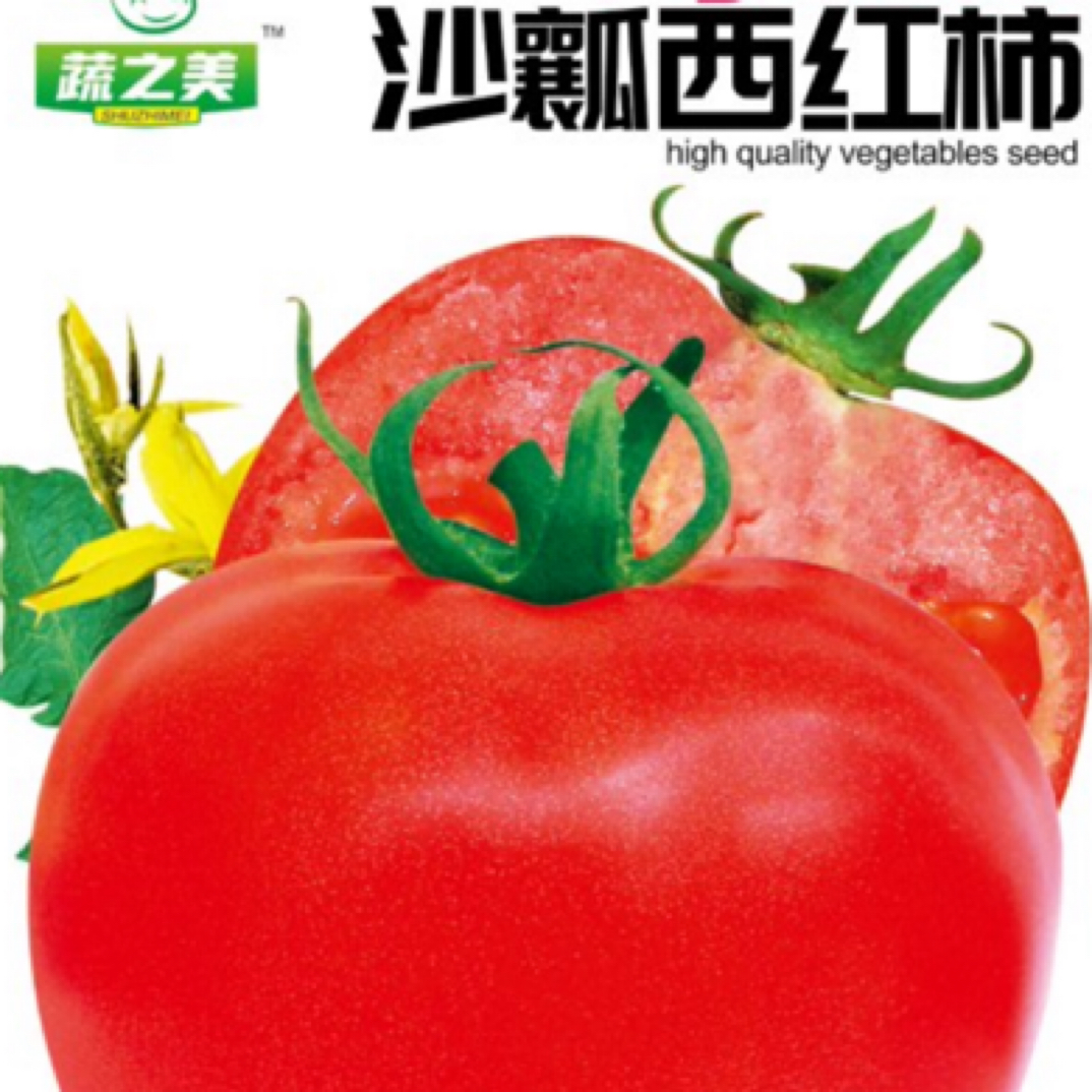 沙瓤番茄种子超甜超大果西红柿种子阳台庭院小菜园瓜果蔬菜种籽