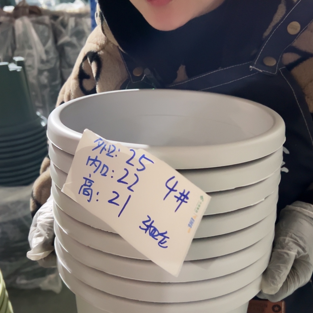 四季盆4#灰白色8个无托