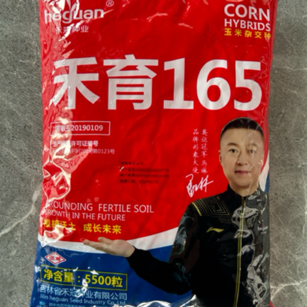 禾育165 玉米杂交种