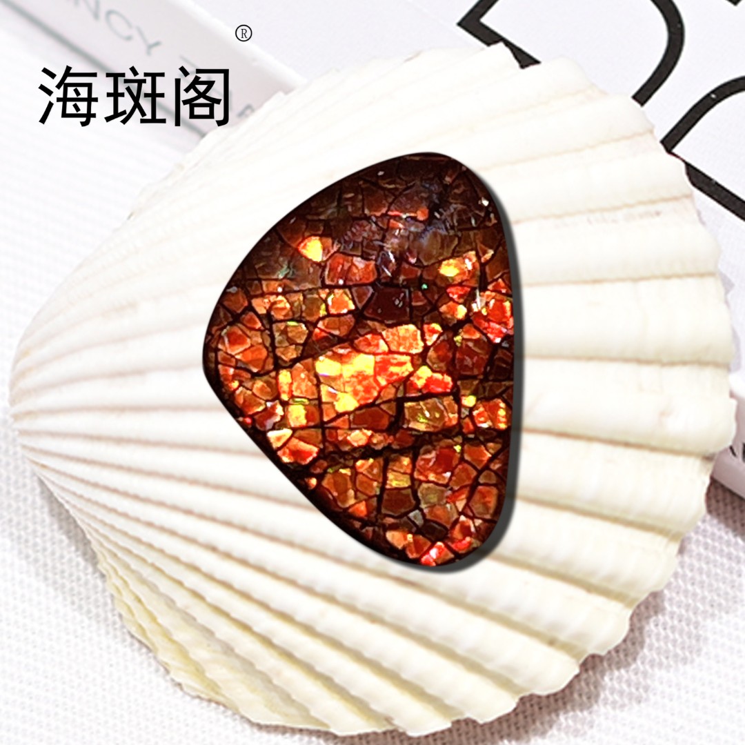 【海斑阁】天然加拿大斑彩宝石有机宝石收藏树脂覆膜裸石DLS-25119