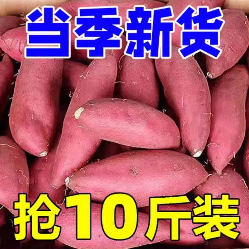 新鲜现挖沙地蜜薯1/9斤超甜烤红薯地瓜番薯水果消费券用券好物