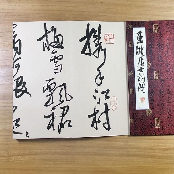书法中书协老师作品