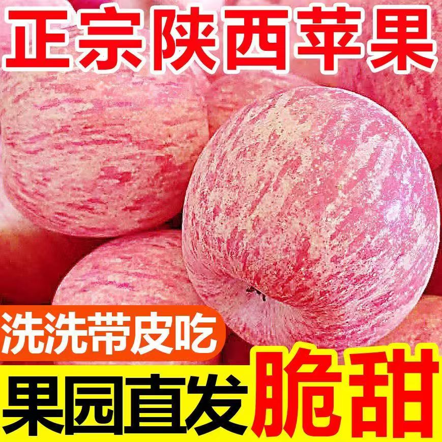 正宗陕西白水苹果陕西当季红富士新鲜脆甜多汁冰脆苹果