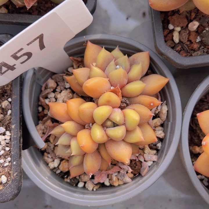 健健康康平平安安