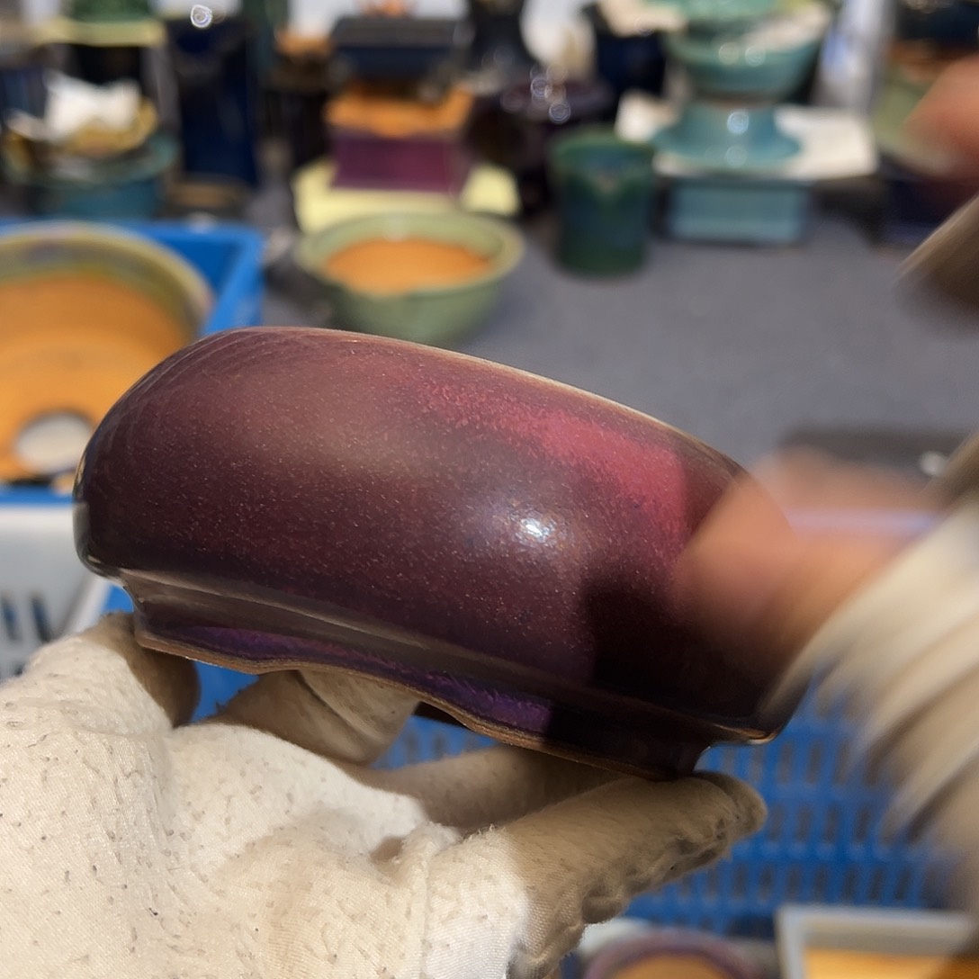 碗觉象原创作品欣赏