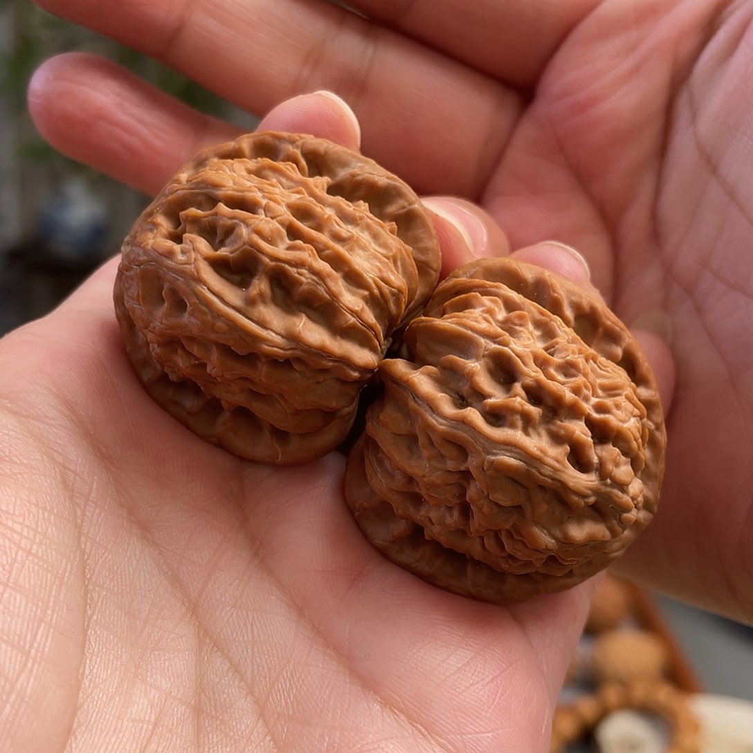 桃核把件39×41尺全品白茬山地三角白狮子头CN0469