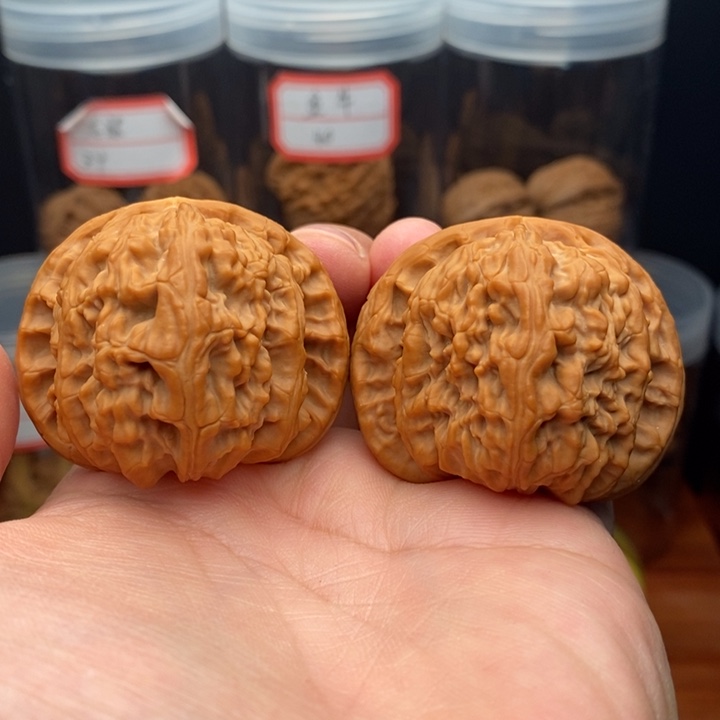 核桃麻核桃白狮子球白44尺