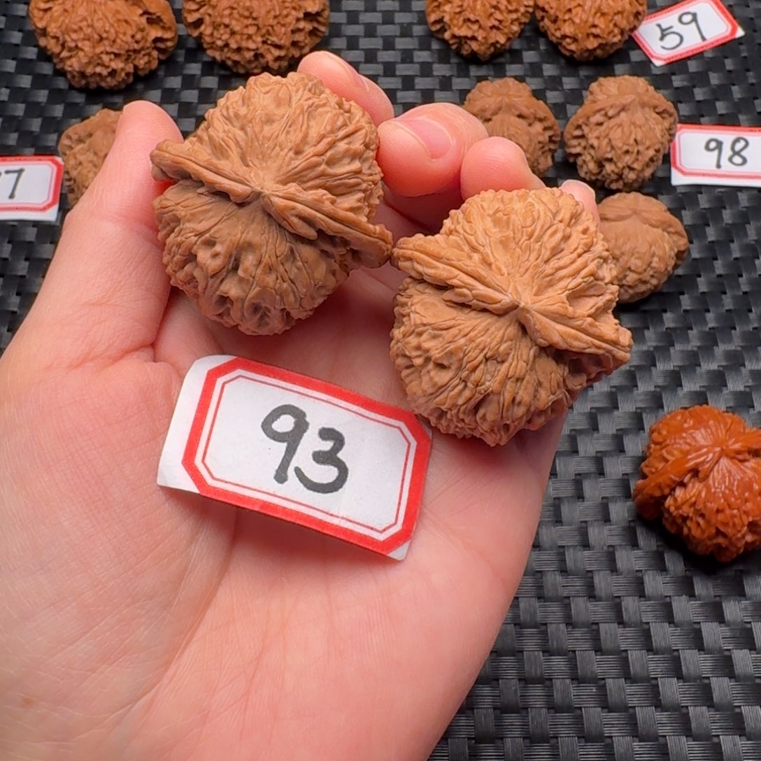 核桃全品42尺白狮子