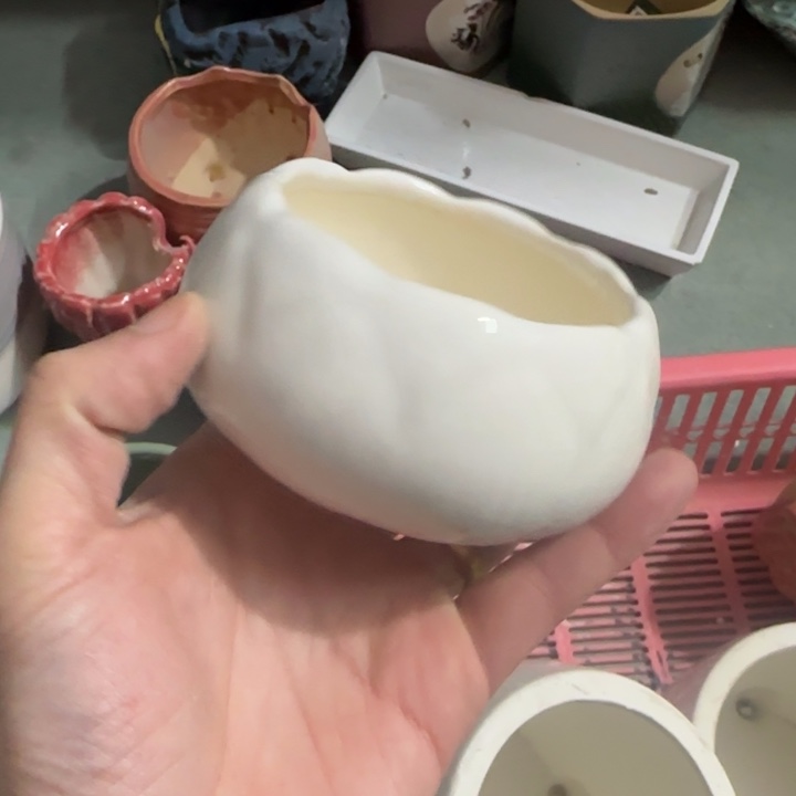 《所有单满15发（花盆）》8×5