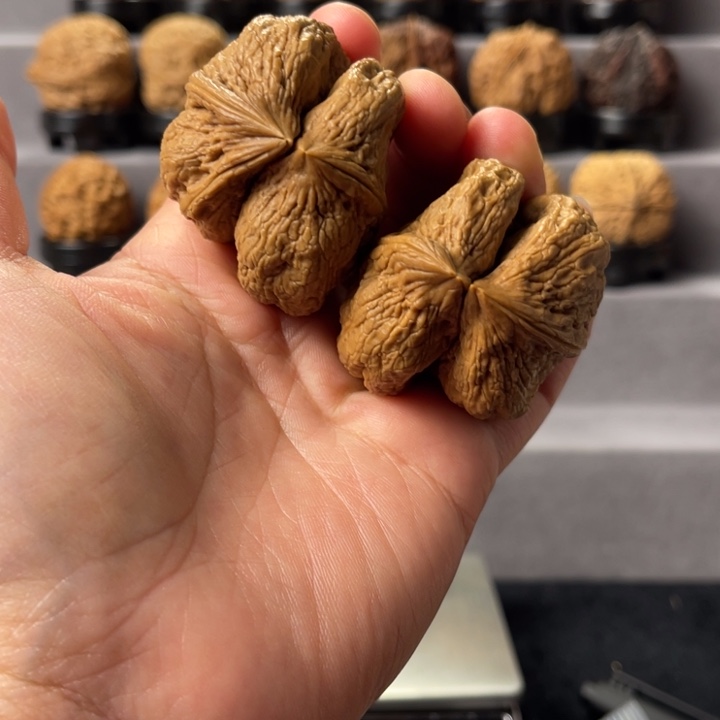 不***膀文玩核桃把件连体