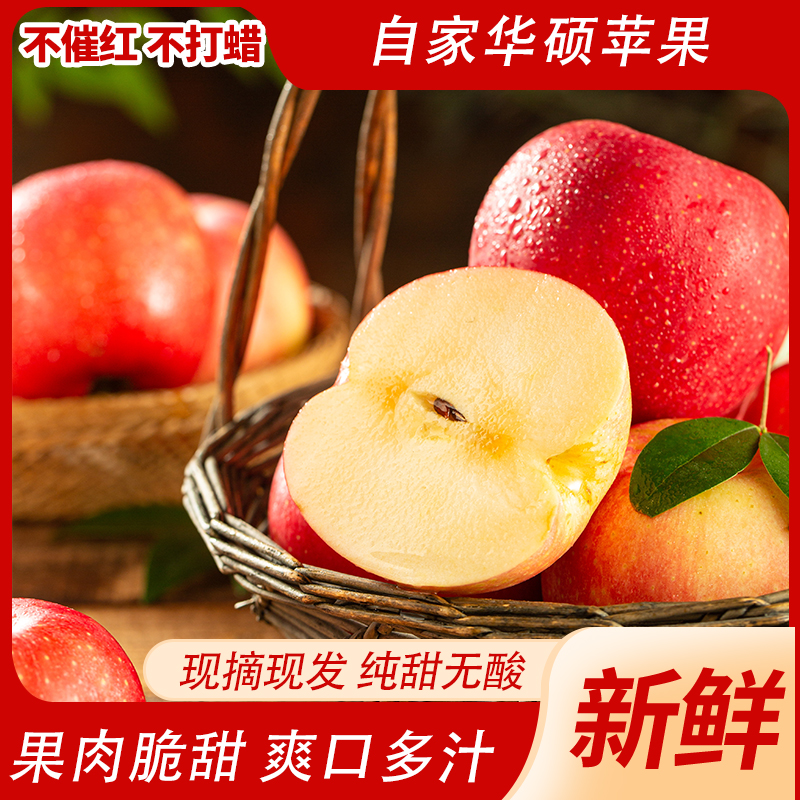 西藏林芝苹果新鲜应季脆甜水果现摘现发