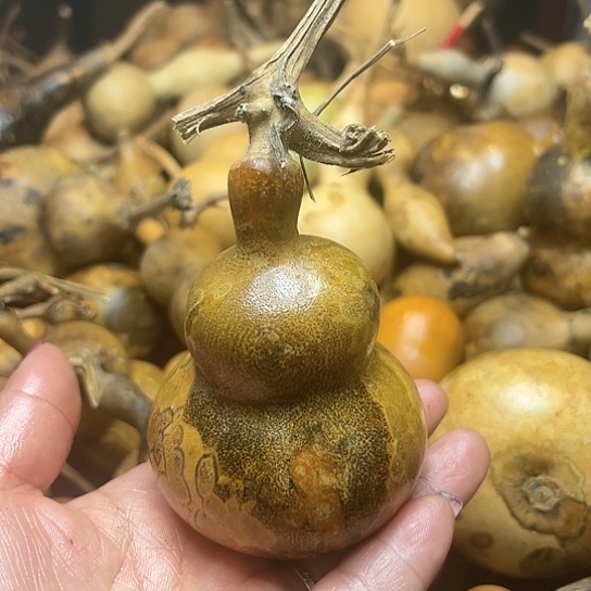 哎**去葫芦葫芦葫芦葫芦