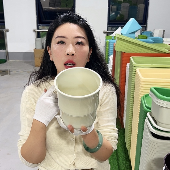 竹节口13.6高14米色5支带托